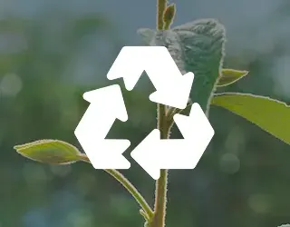 Medio Ambiente